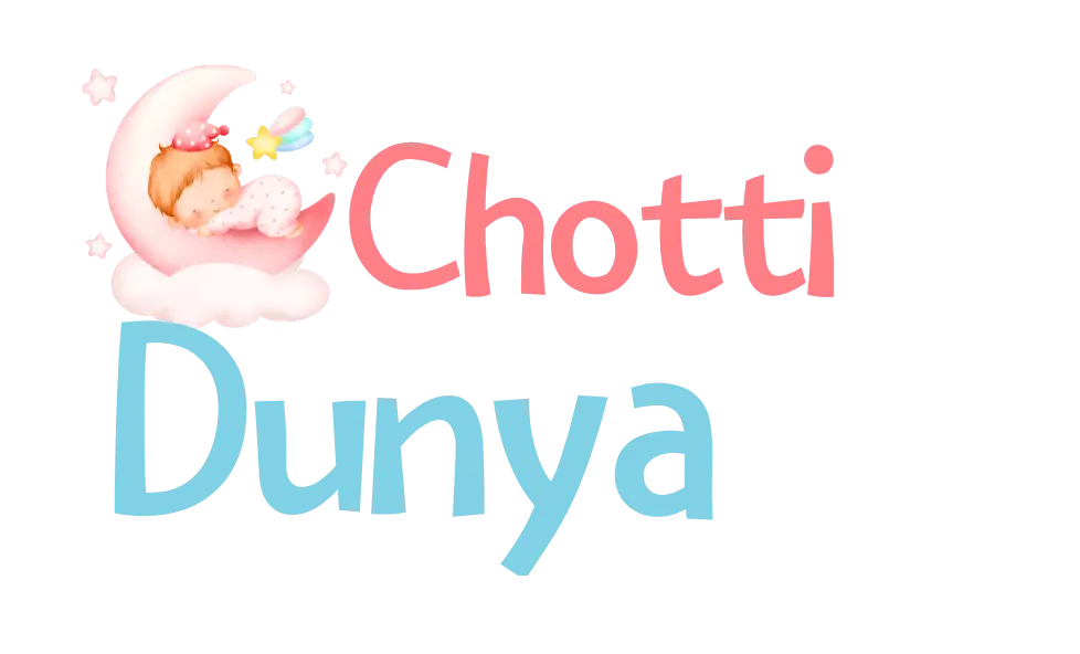 chotti dunya footer logo